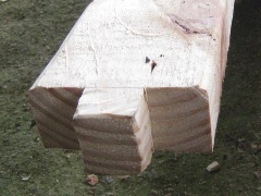 d0116205_2051491.jpg