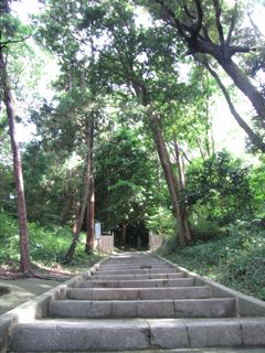f0198909_19565050.jpg