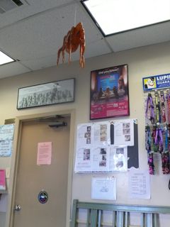 f0227709_1030876.jpg