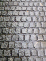 f0100911_22374053.jpg