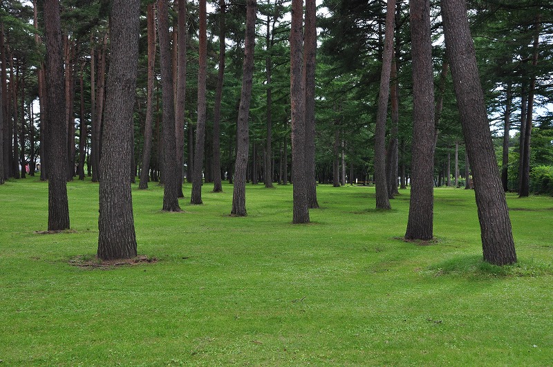 f0213613_209404.jpg