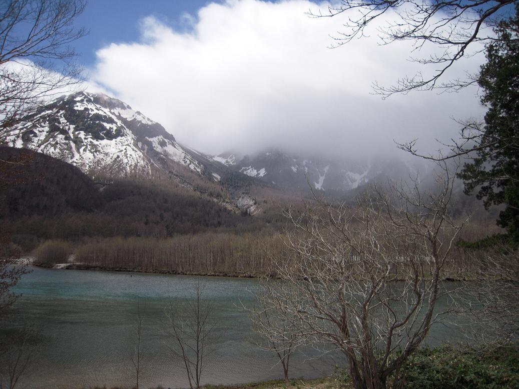 e0047216_1505720.jpg