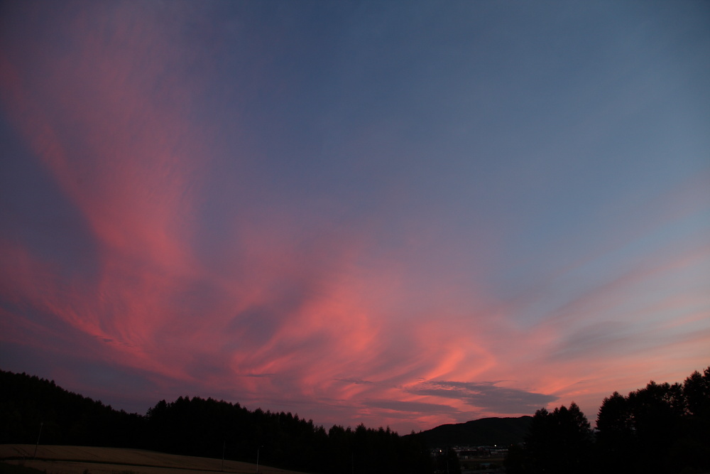c0140721_2155507.jpg