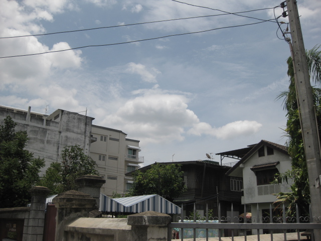 c0134522_13564532.jpg