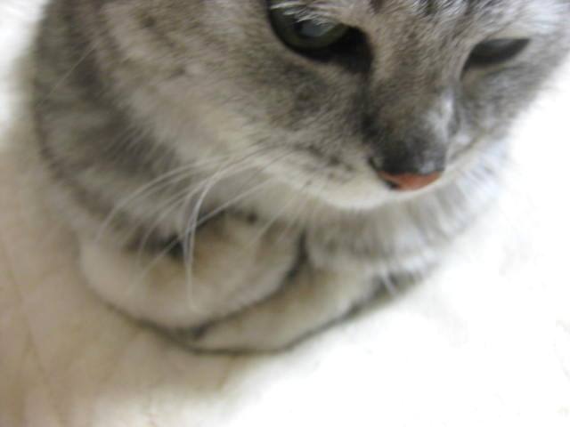 e0130722_2311040.jpg