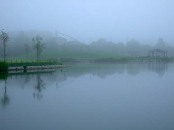 f0147025_16523293.jpg