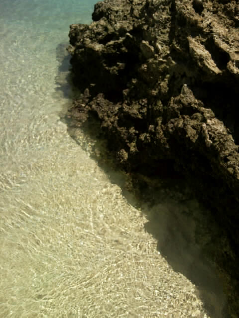 f0197325_131558.jpg