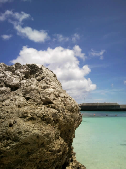 f0197325_13212823.jpg