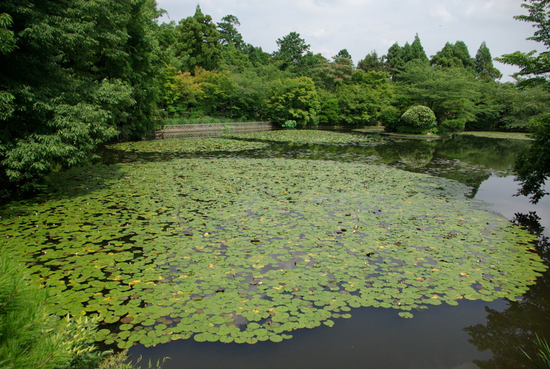 c0195327_172941100.jpg