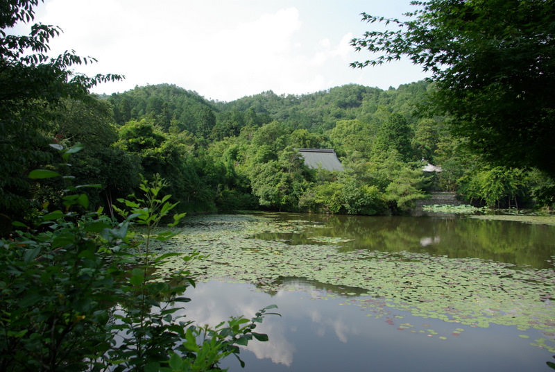c0195327_1730938.jpg