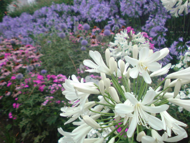 e0016828_12272890.jpg