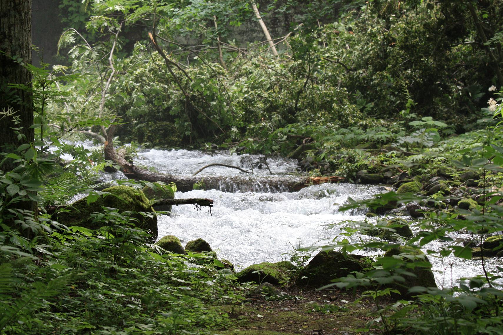 a0123331_16125134.jpg