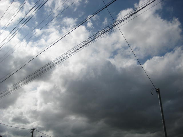 e0166032_20453631.jpg