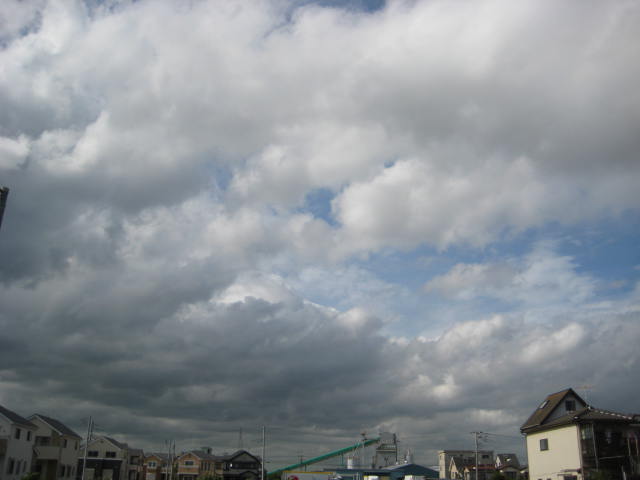e0166032_204559.jpg