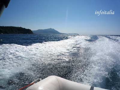 c0077533_2104940.jpg