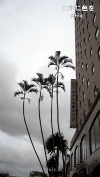 c0227134_18152833.jpg