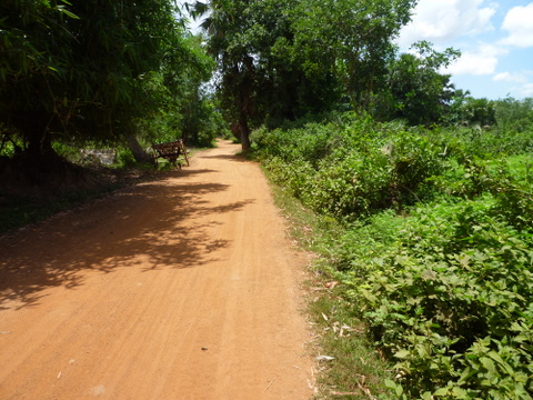 a0152839_6552212.jpg