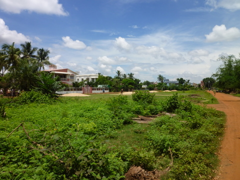 a0152839_656268.jpg