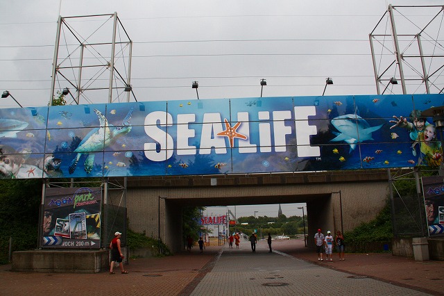 c0153740_4461569.jpg