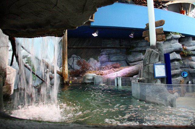 c0153740_5112967.jpg