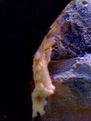 c0153740_527236.jpg