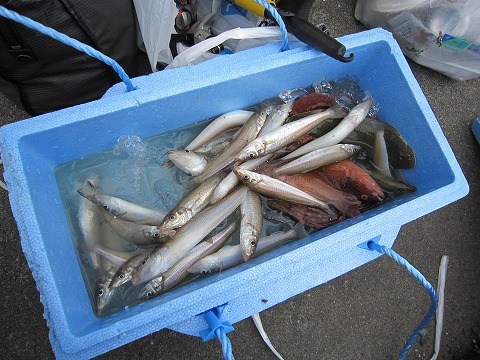 e0051142_2124560.jpg