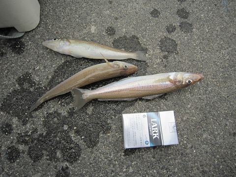 e0051142_21275139.jpg