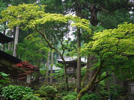 c0057946_22342590.jpg
