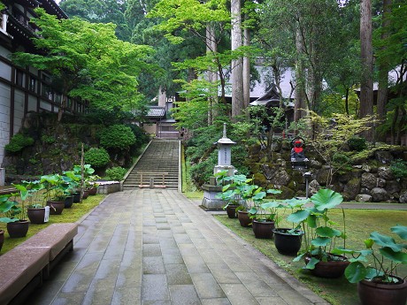 c0057946_22471169.jpg