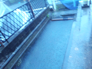 f0229250_223842100.gif
