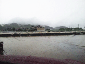 f0229250_2242208.gif