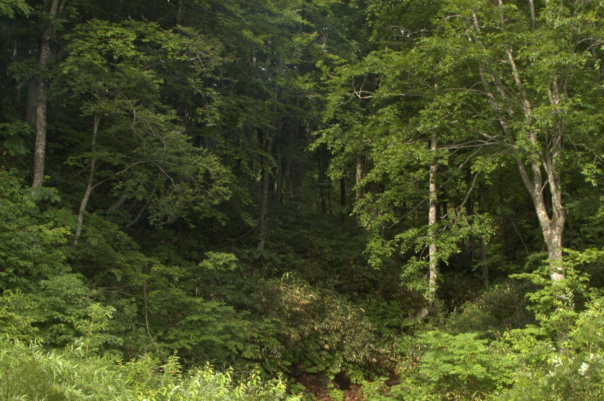 d0098057_926236.jpg