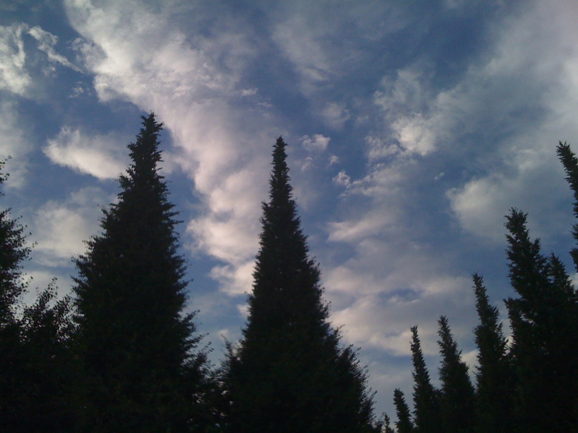 d0134361_3143591.jpg