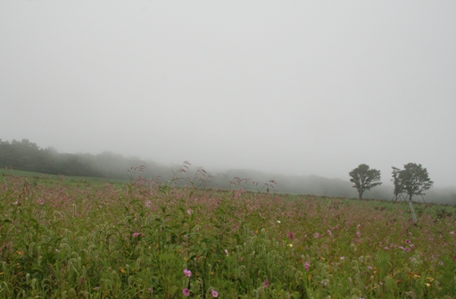 e0068962_21273039.jpg
