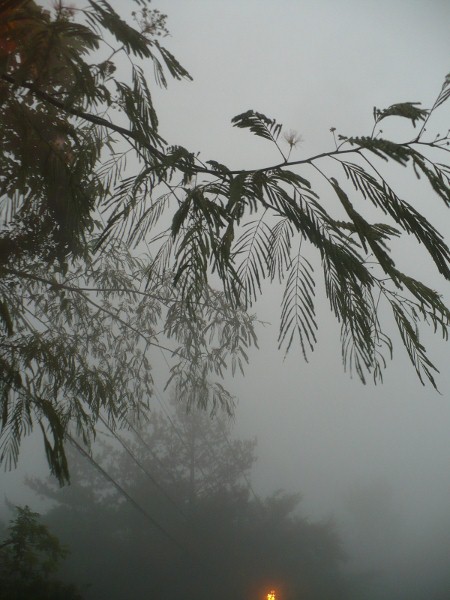 a0063364_23335566.jpg