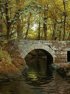 a0063364_23464191.gif
