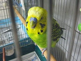 f0196665_0375642.jpg