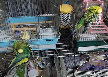f0196665_0412176.jpg