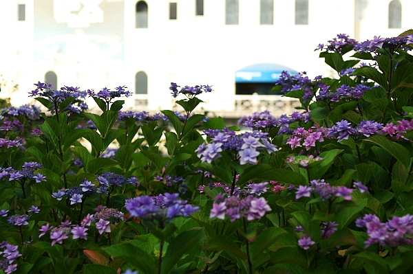 b0170969_0204743.jpg