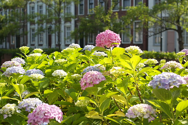 b0170969_020719.jpg