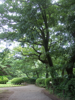 e0142170_22372642.jpg