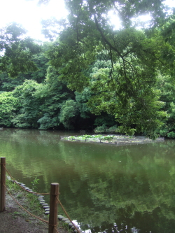 e0142170_22395215.jpg