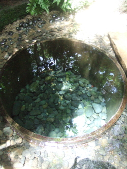 e0142170_2239597.jpg