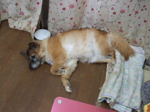 f0005081_01342.jpg