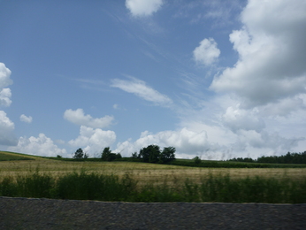 f0016981_1243588.jpg
