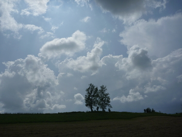 f0016981_1291999.jpg