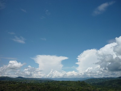 e0150782_13251846.jpg
