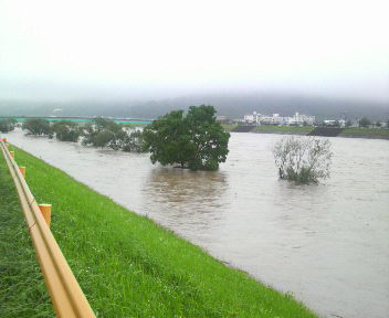 f0192582_23112570.jpg