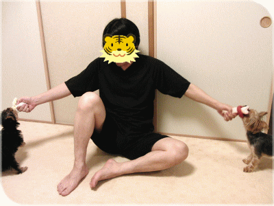 f0018384_1533091.gif