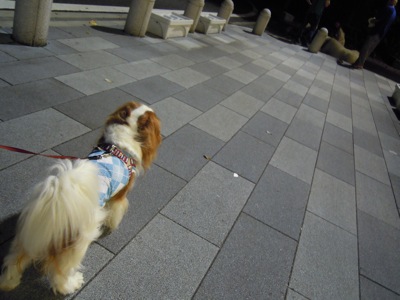 d0044986_2333791.jpg